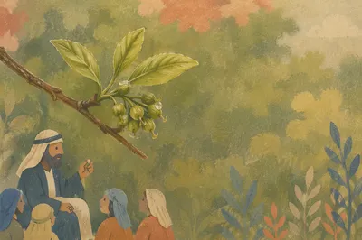 Mustard Seed Parable Growth in Morning Light