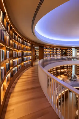 Modern Office Library with Curved Bookshelves