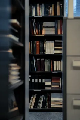Modern Office Bookshelf for Knowledge and Wisdom