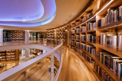 Modern Office Library for Business Wisdom