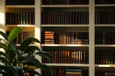 Modern Office Bookshelf with Wisdom Ambience