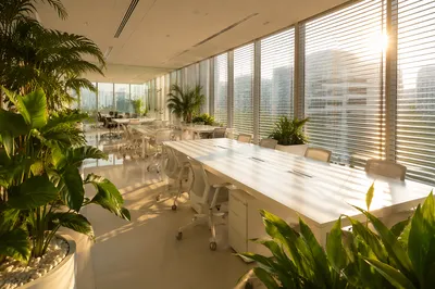 Modern Sunlit Coworking Office with Indoor Plants