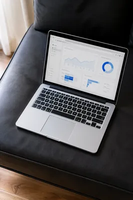 Laptop Analytics Dashboard on Charcoal Sofa