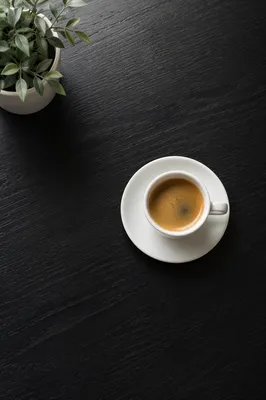 Minimalist Black Desk with Coffee and Plant