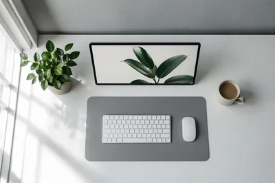 Minimalist Overhead Desk with Plant and Coffee