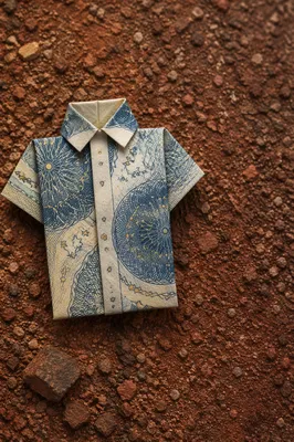 Origami Dollar Shirt on Earthy Gravel