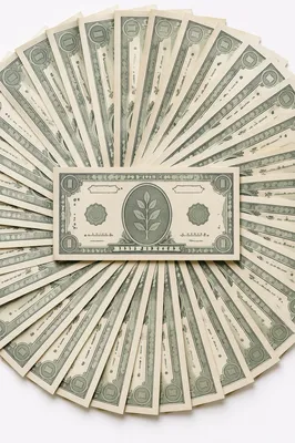 Circular Fan of Dollar Style Cash