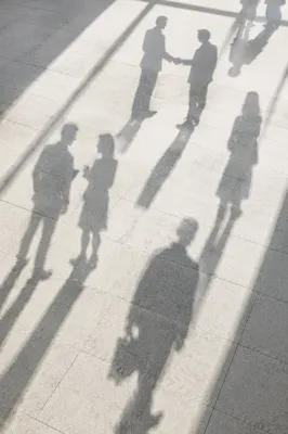 Professional Networking Event Shadows in Conference Hall