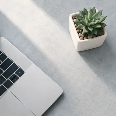 Minimalist Desk with Potted Succulent