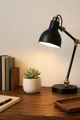 Minimalist Succulent on Warm Walnut Desk