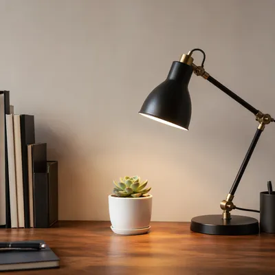 Minimalist Succulent on Modern Office Desk