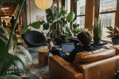 Relaxed Startup Office Lounge With Indoor Plants