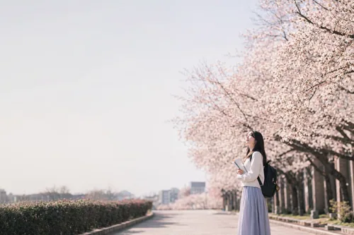 Campus Nature background 2