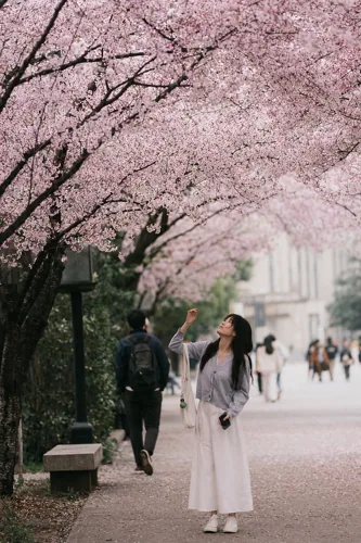 Campus Nature 2