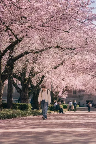 Campus Nature 10