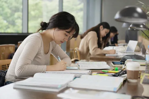 Study Life 5