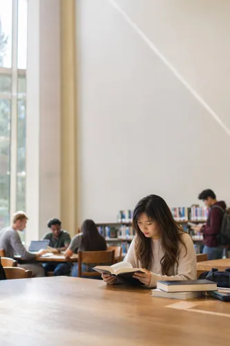 Study Life background 2