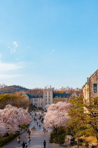 Campus Scenery background 4
