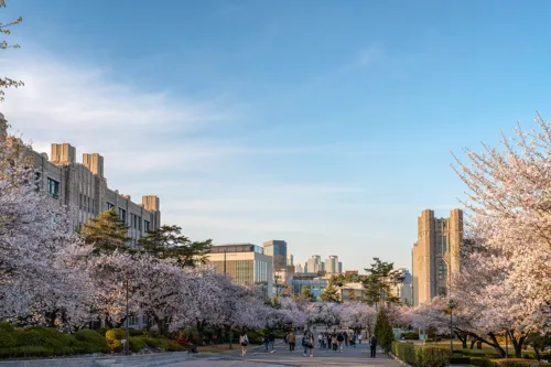 Campus Scenery background 18