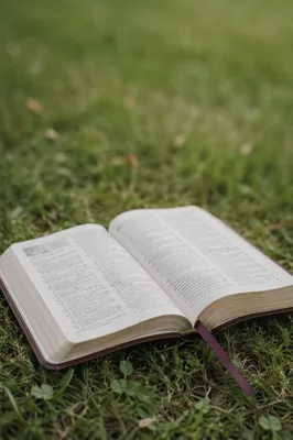 Kids Bible Verse Memorization on Grass