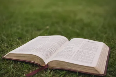 Kids Bible Verse Memory on Grass