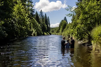 Peaceful Outdoor River Baptism in Woodland