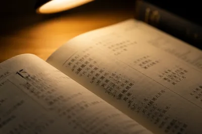 Warm Desk Lamp Bible Translation Study