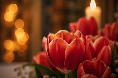 Red Tulips and Candles on Church Altar