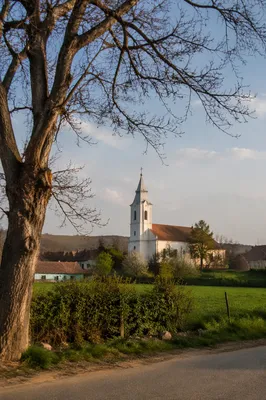 Rural Village Church Across Green Field