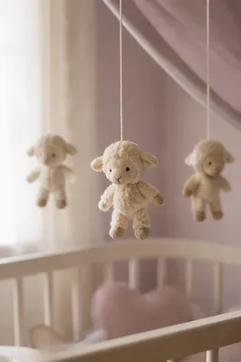 Soft Morning Light Over Church Nursery Lambs