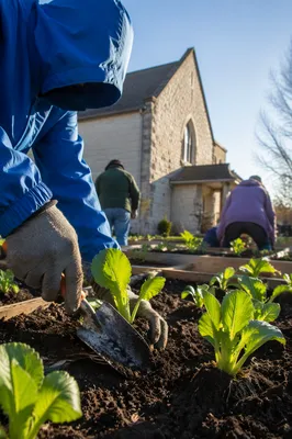 Church Community Garden Planting Volunteers