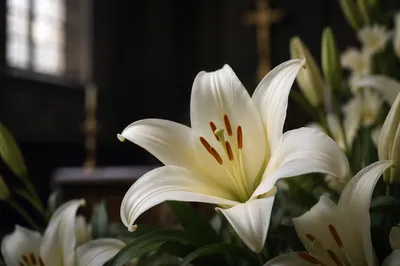 White Lily Funeral Sympathy Chapel Arrangement