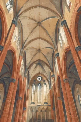 Gothic Church Ceiling With Sunlit Ribbed Vaults