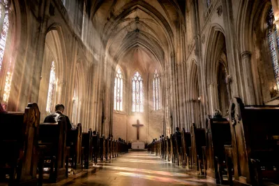 Gothic Church Interior with Vaulted Morning Light