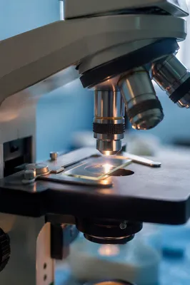 Mission Trip Clinic Microscope Close-Up
