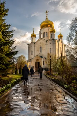 Golden Domes of Orthodox Church Exterior