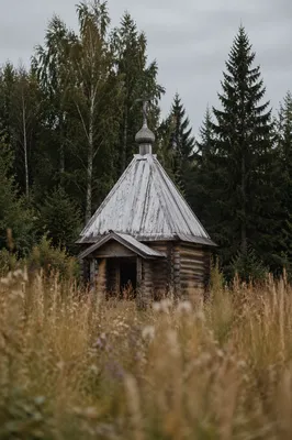 Rustic Wooden Chapel in Quiet Countryside Meadow
