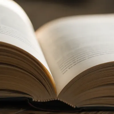 Open Book Pages in Warm Window Light