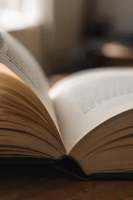 Open Book Pages in Warm Window Light