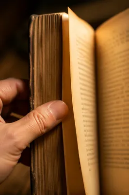 Open Aged Book Pages in Warm Light