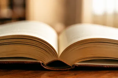 Open Book Pages in Warm Study Light