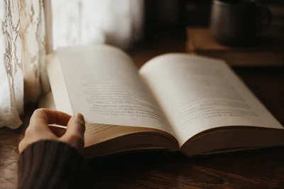 Open Book in Soft Window Light
