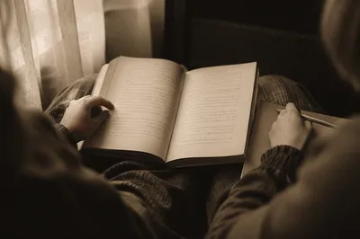Open Study Book in Warm Window Light