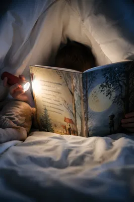 Child Reading by Flashlight in Cozy Blanket Fort