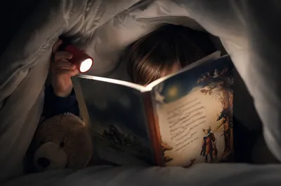 Child Reading by Flashlight in Blanket Fort