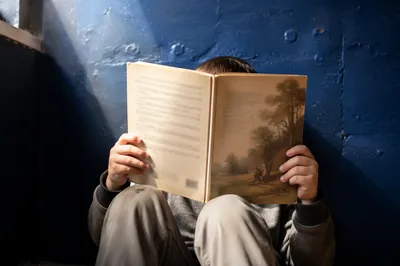 Child Reading Storybook in Quiet Wonder