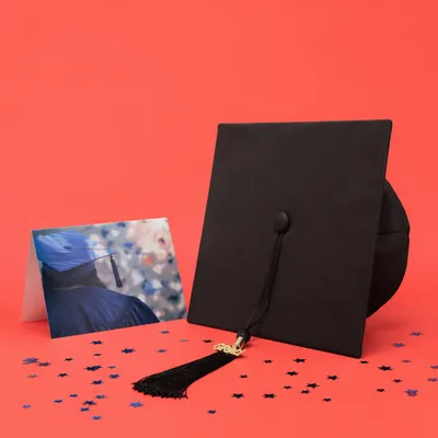 Graduation Cap and Diploma Celebration Still Life