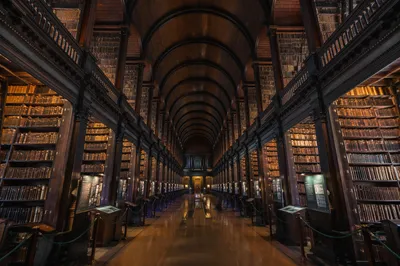 Grand Library Reading Room with Warm Light