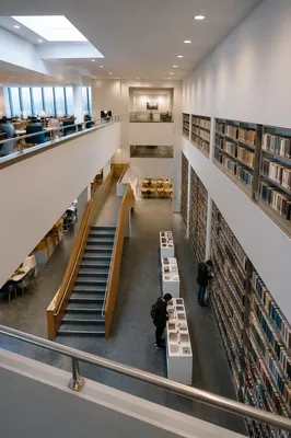 Quiet Modern Library Atrium for Study