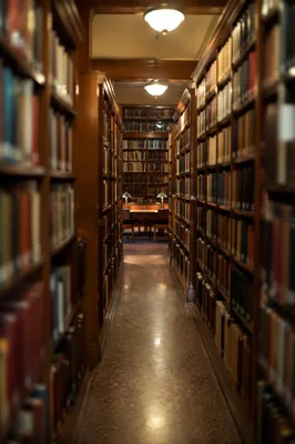 Quiet Library Aisle for Study and Research